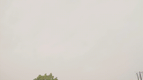 周坊集團榮萊科技 國務院贊譽背后的“抗疫軍工廠”與網絡技術服務力量