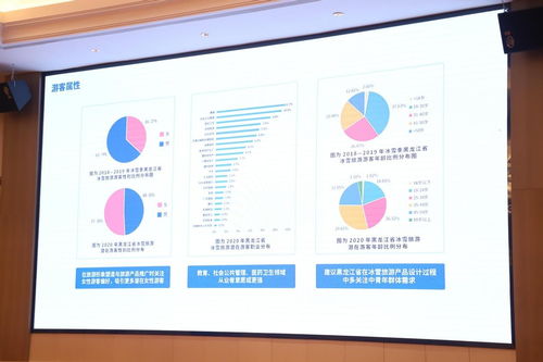 中國黑龍江冰雪旅游產業發展指數暨2021年冬季旅游產品發布會閃耀 榕城 福州